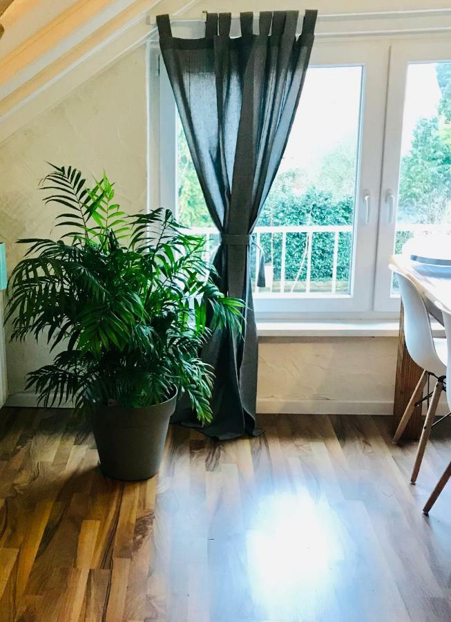 Grosse Dachgeschosswohnung Mit Kueche Und Badezimmer An Der Uniklinik Homburg Homburg  Bagian luar foto